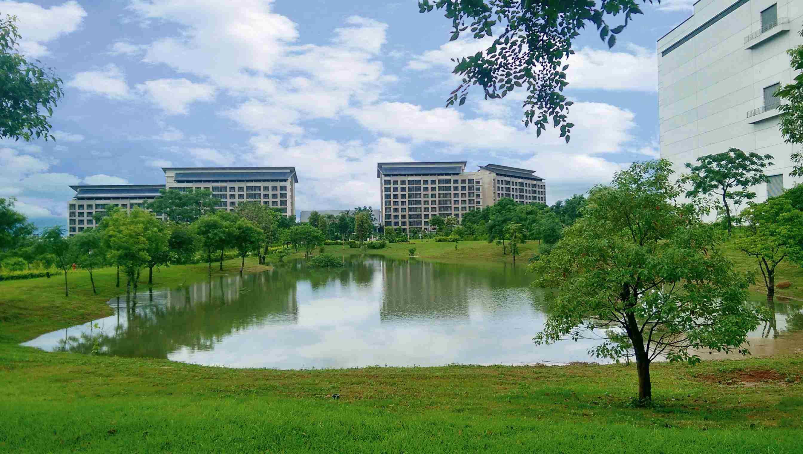 Wepay响应国际倡议生物多样性趋势，，，，首次发布TNFD自然相关财务揭露报告书，，，擘划及开展Wepay生物多样性政策之承诺，，，，逐步迈向与自然和谐共生